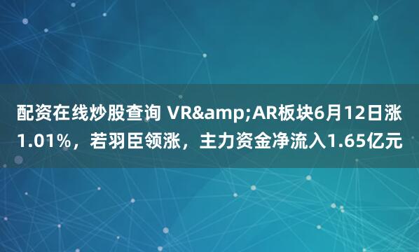配资在线炒股查询 VR&AR板块6月12日涨1.01%，若羽臣领涨，主力资金净流入1.65亿元
