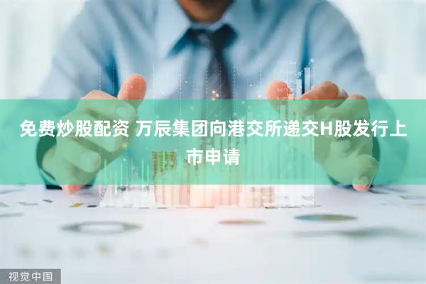 免费炒股配资 万辰集团向港交所递交H股发行上市申请